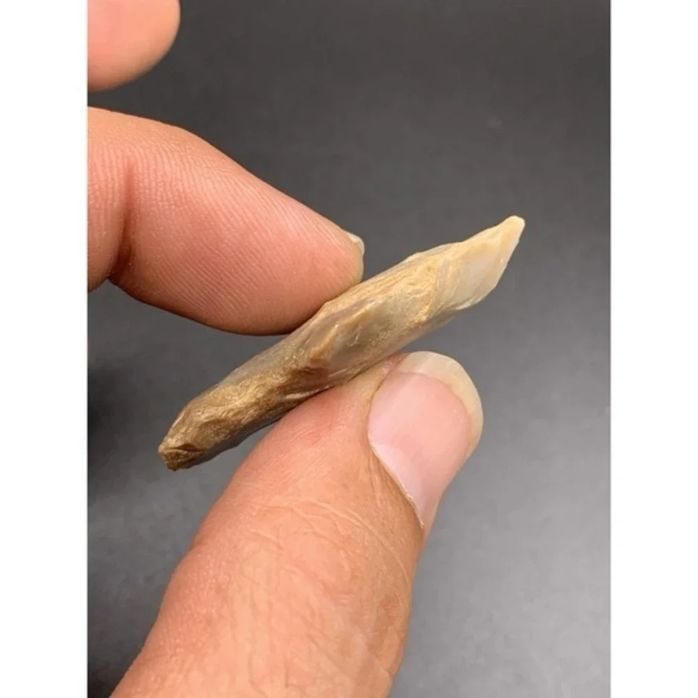 1 3/4 Inch Authentic Ancient Adena Arrowhead From Central Kentucky‎ Carter Cave